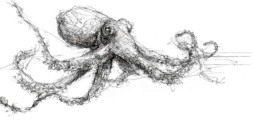 The Octopus Problem